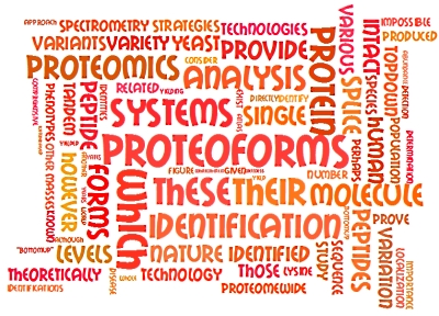 proteomics word cloud 400