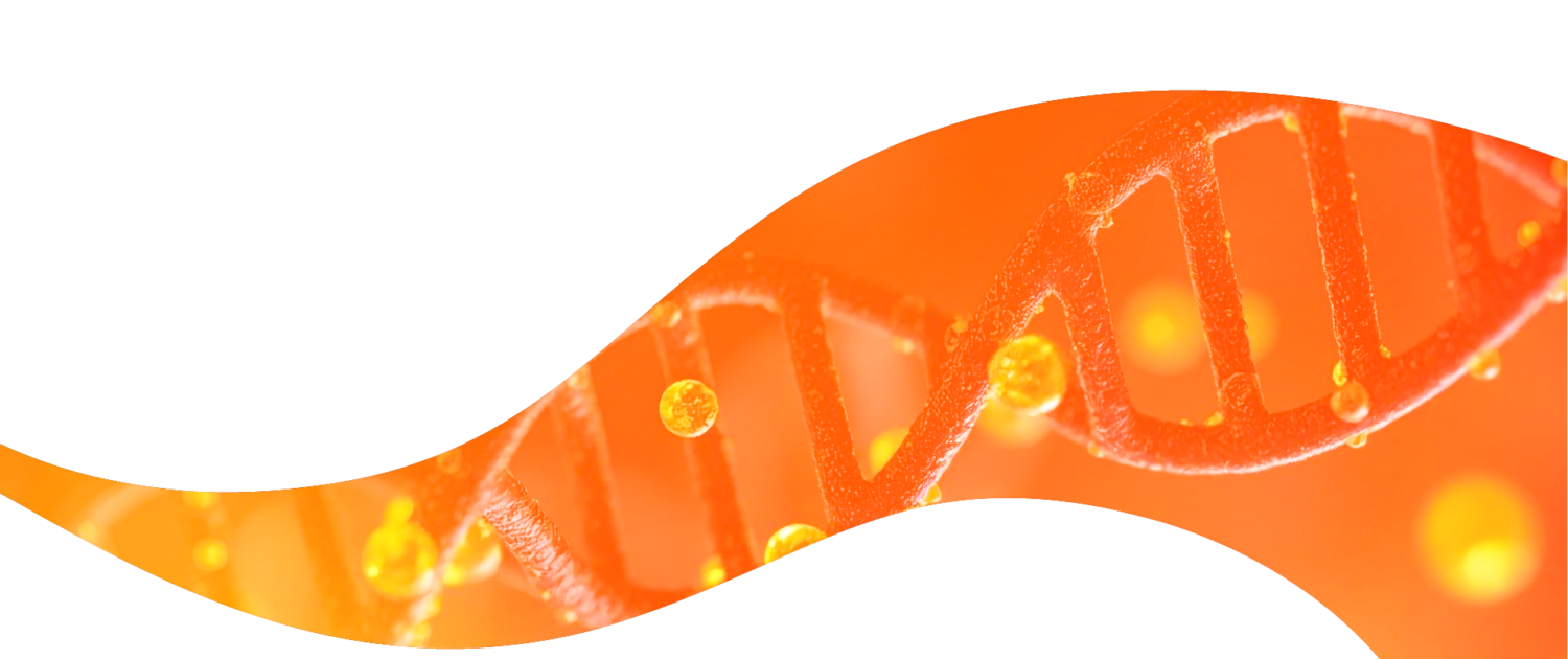 BANNER 2 NO TEXT